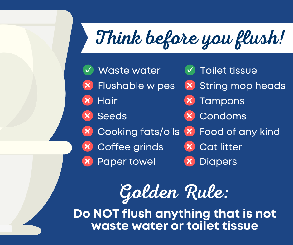 What to Flush